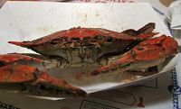Img_0853.jpg