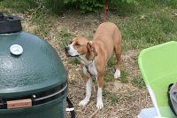 Img_0918.jpg
