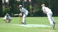 Img_1316.jpg
