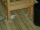cart25.jpg
