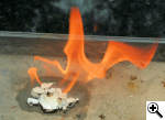 Contents burning