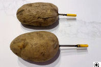 This shows how the potato rejected the probes!
